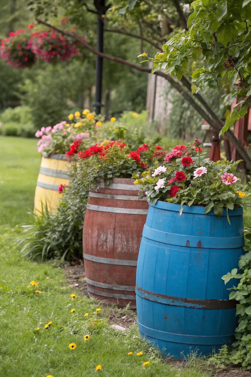 Painted barrels functioning as dynamic garden vessels
