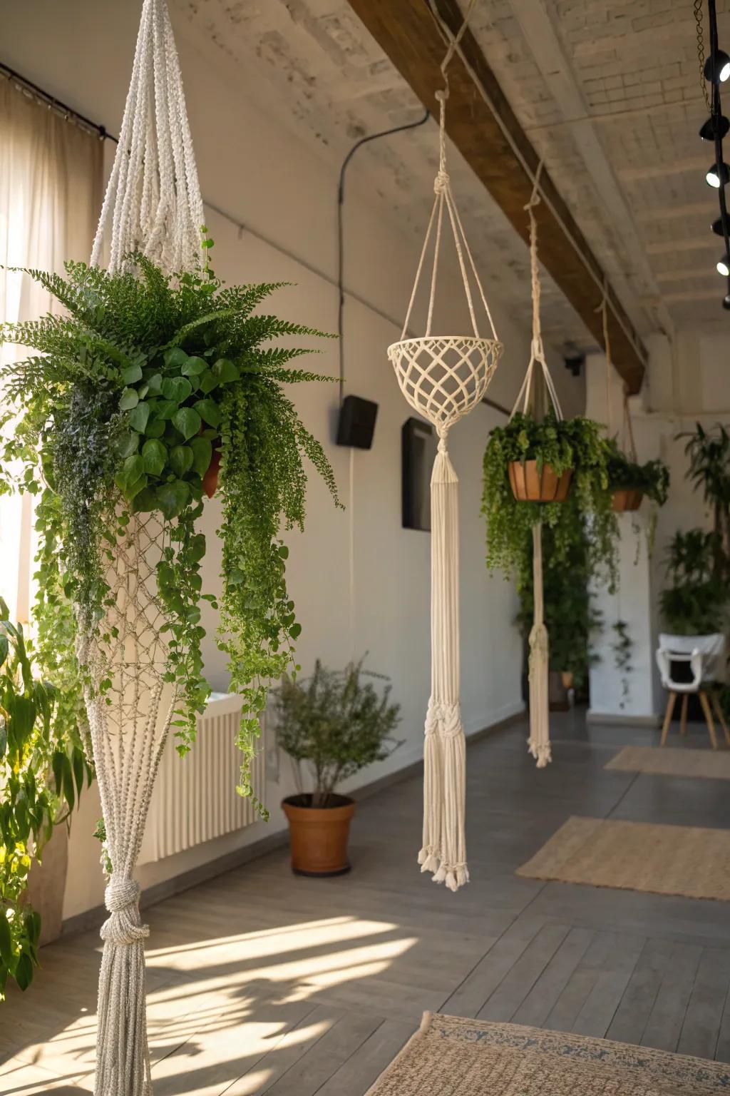 Elevate the visual appeal and playfulness of your area with an overhead botanical arrangement.