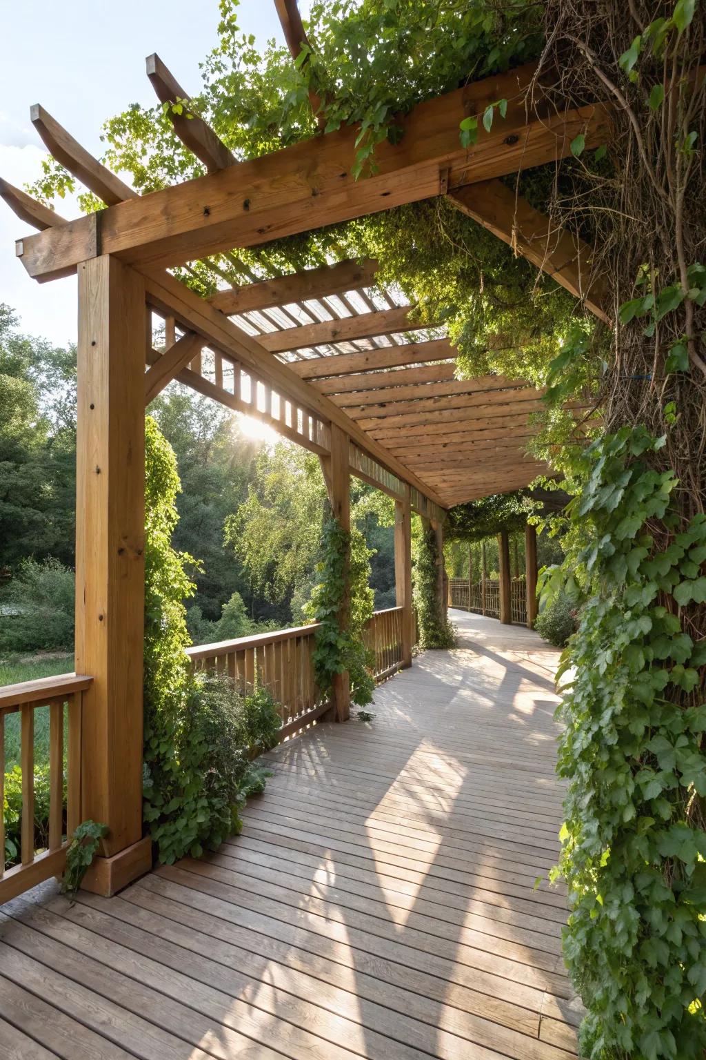 A pergola elevates the aesthetic and introduces natural allure to any deck.