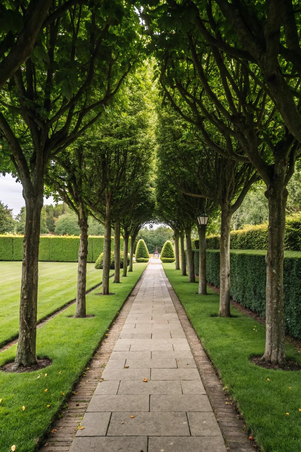 Craft a majestic entrance with symmetrically placed, tree-lined walkways.