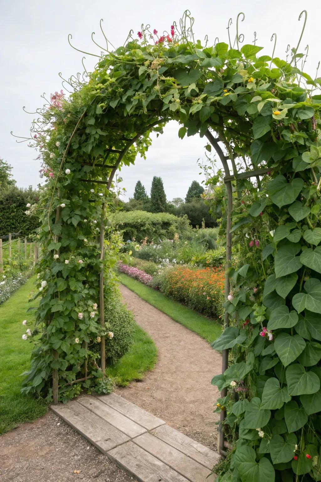 Design an inviting entrance with an archway trellis.