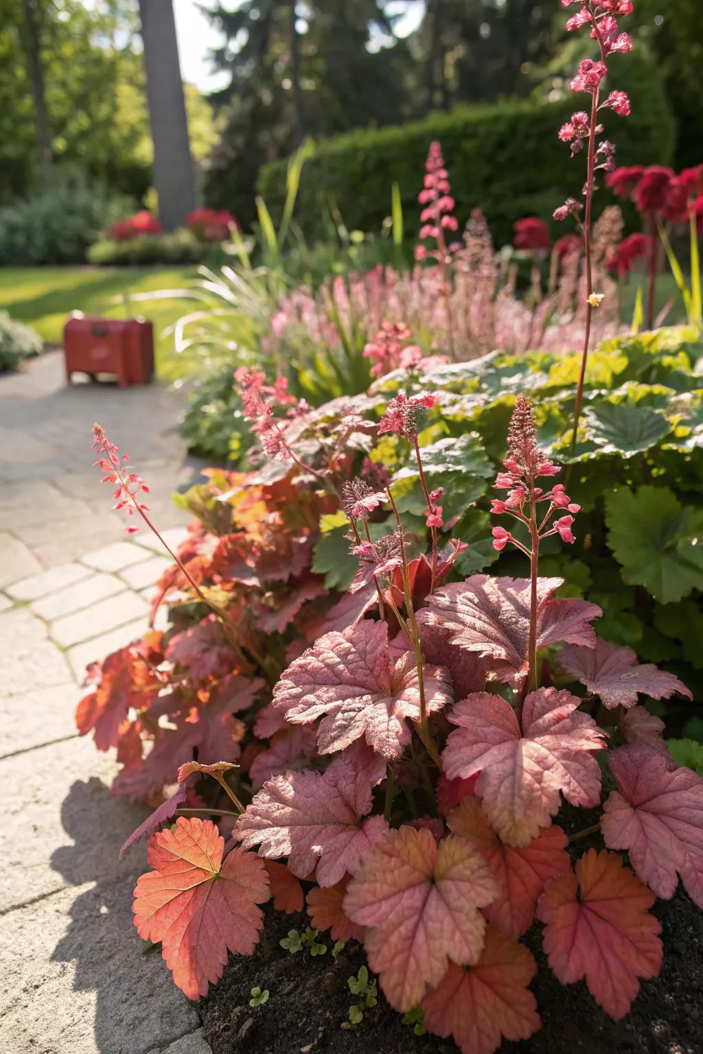Melody chimes thriving in a sun-drenched location, demonstrating their adaptivity.