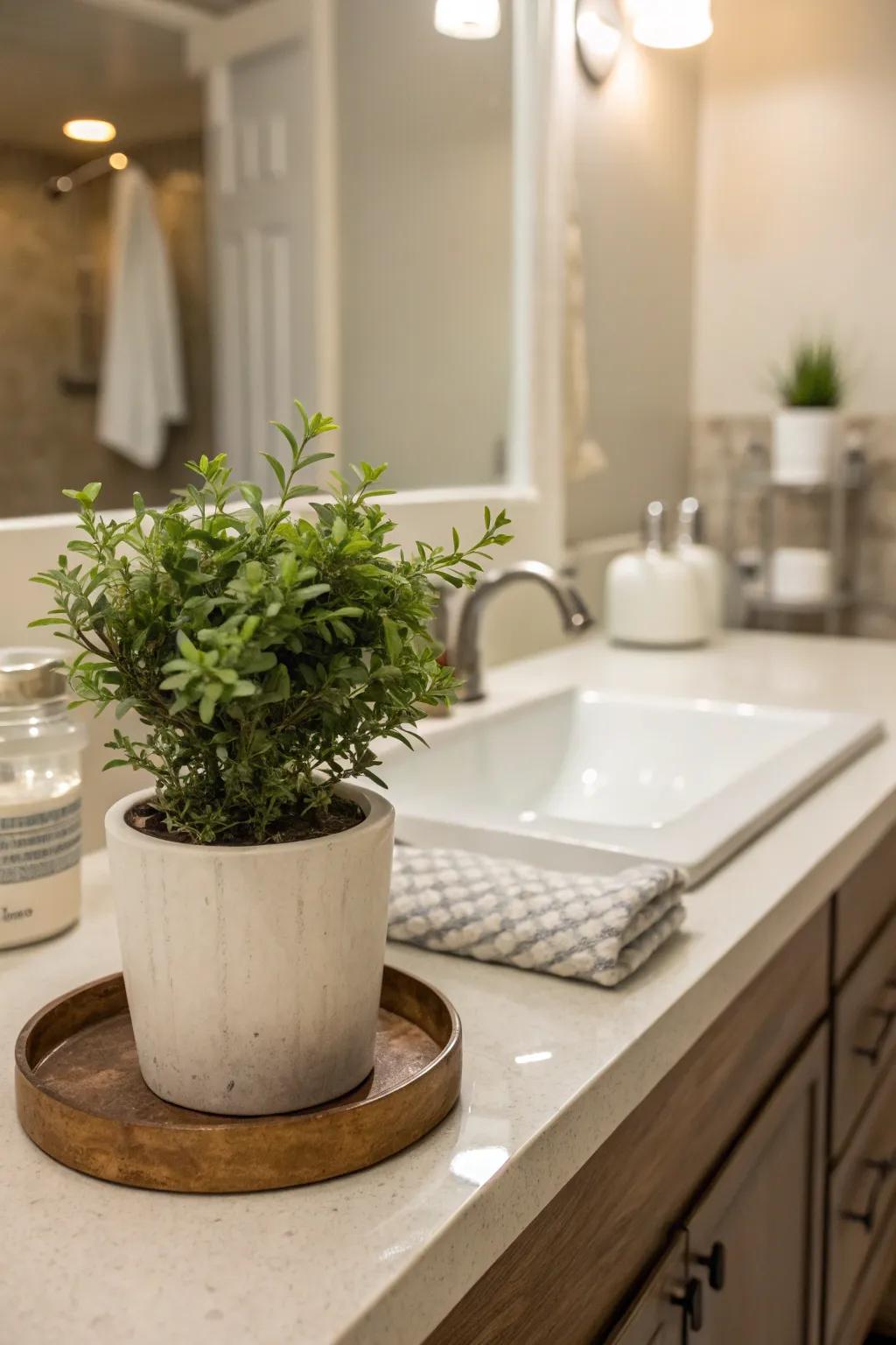 A touch of vegetation can transform your restroom into a refreshing getaway.