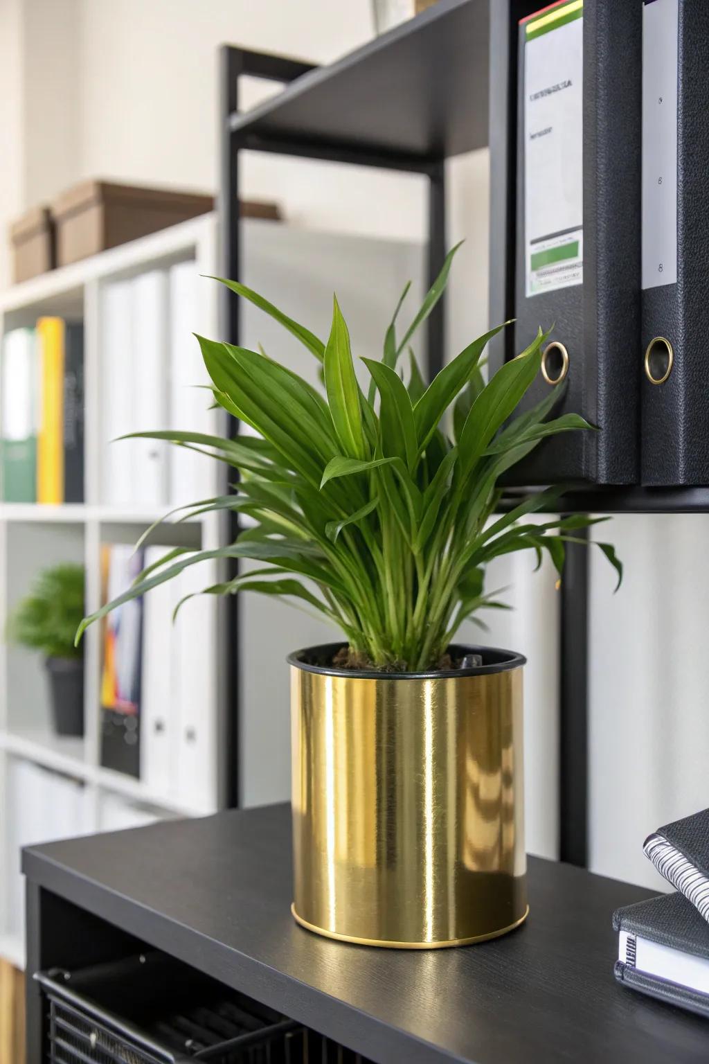 Gilded plant vessels add a dash of nature and elegance to your workspace.