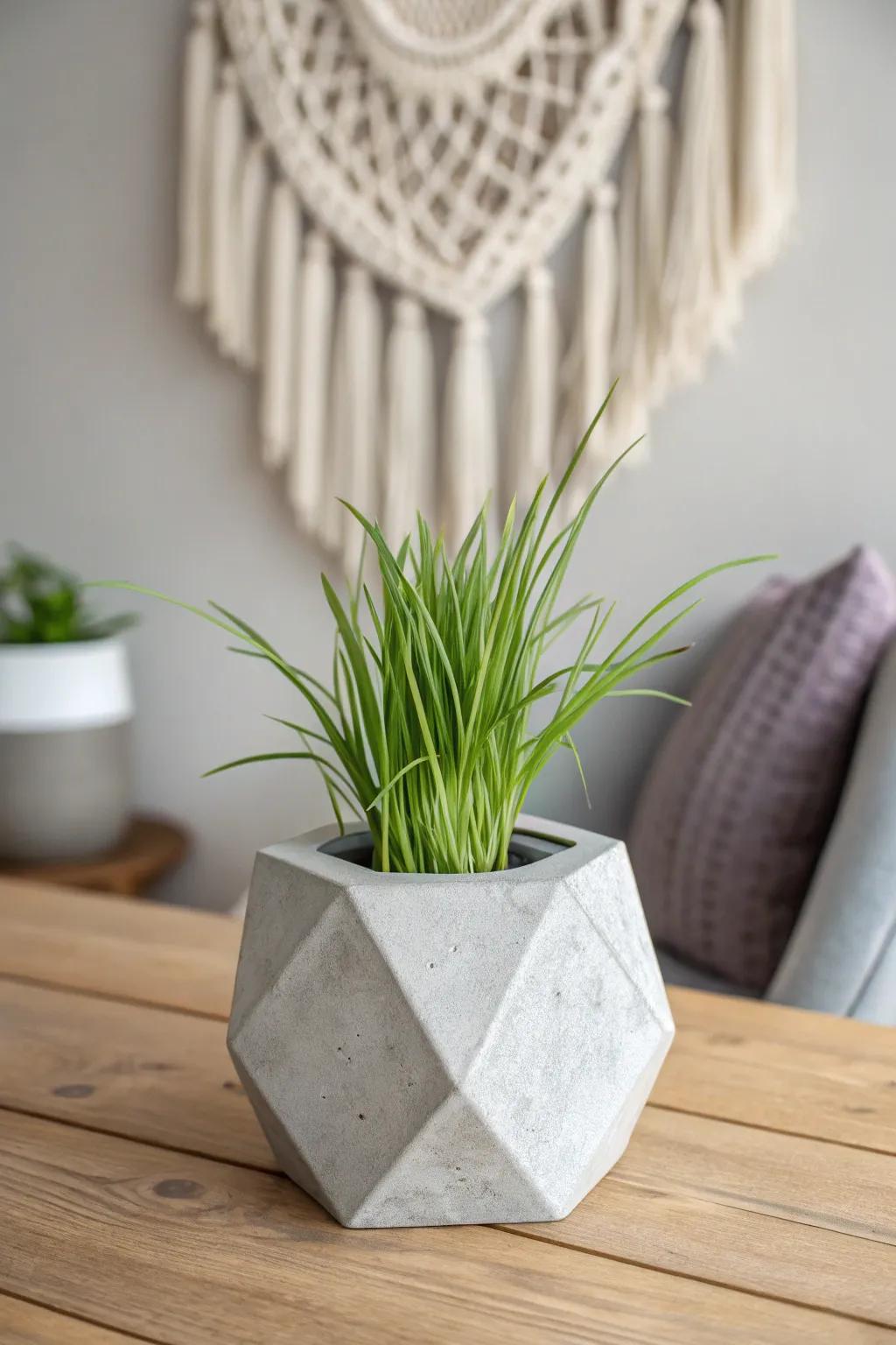 Elevate ambiance through a chic aggregate planter alongside lush lemongrass.