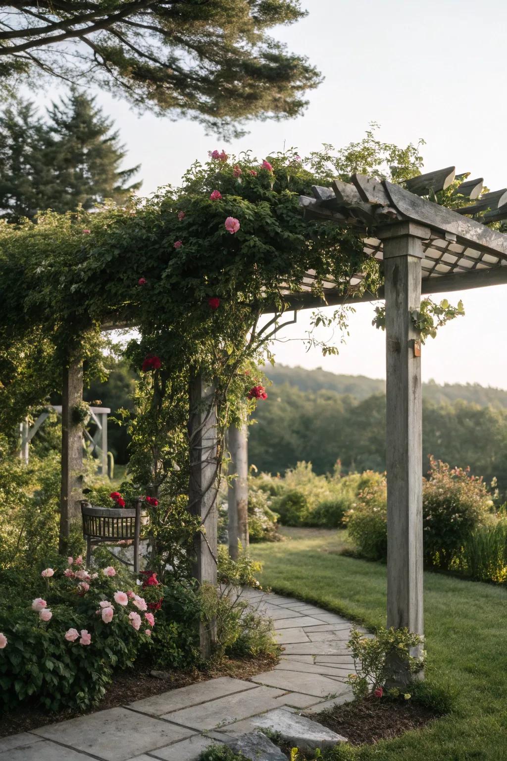 Natural shade from greenery enhances garden aesthetics.