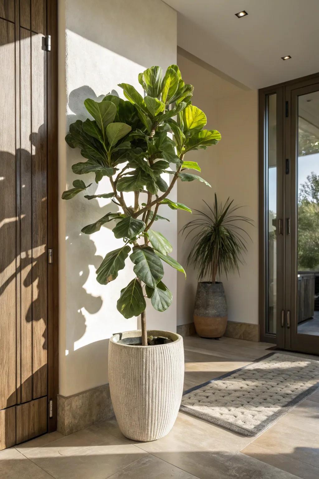 Make a statement with a singular, statuesque botanical specimen.