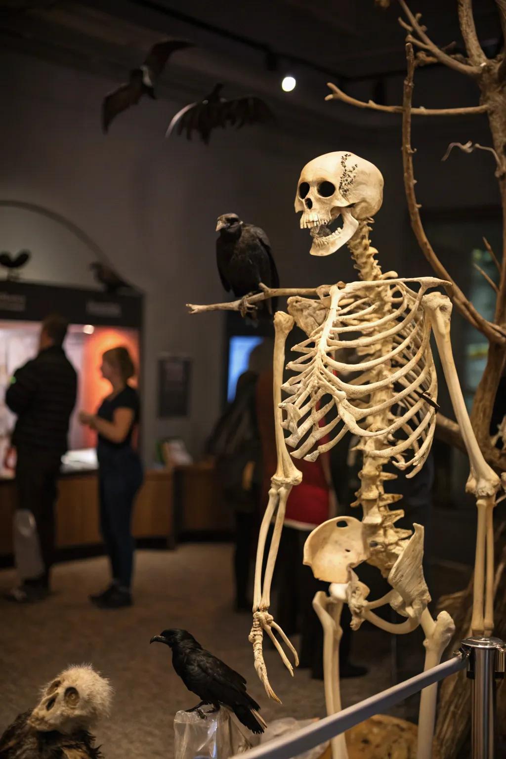 Zoological companions contribute a frolicsome constituent to the skeleton exposition.