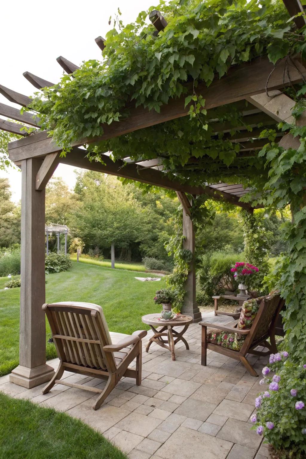A pergola offers both shade and elegance.