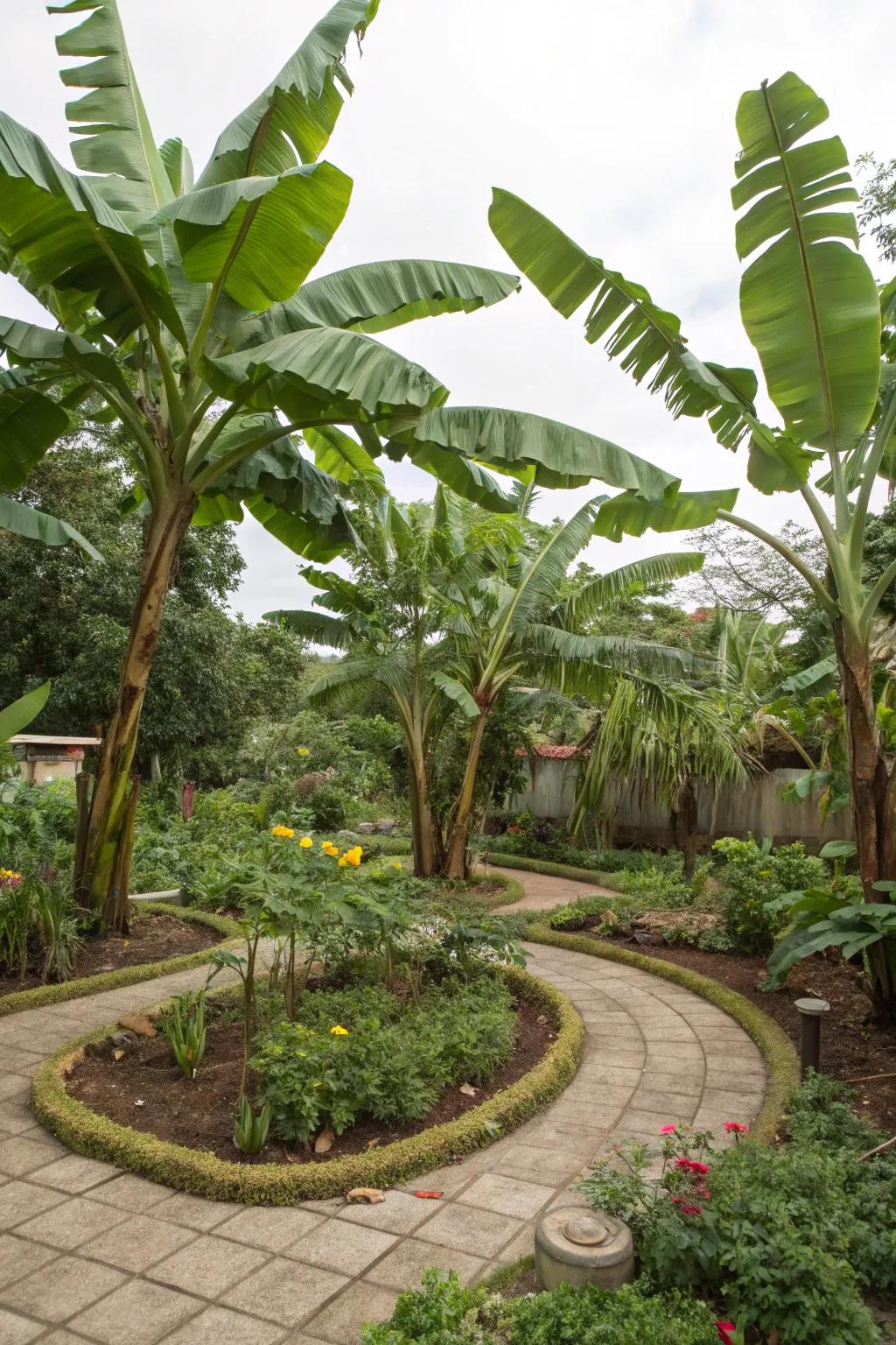 Explore sustainability using an exotic fruit periphery design.