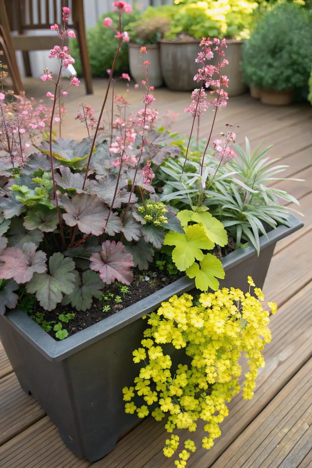 Melody chimes coupled with trailing foliage forge a whimsical container composition.