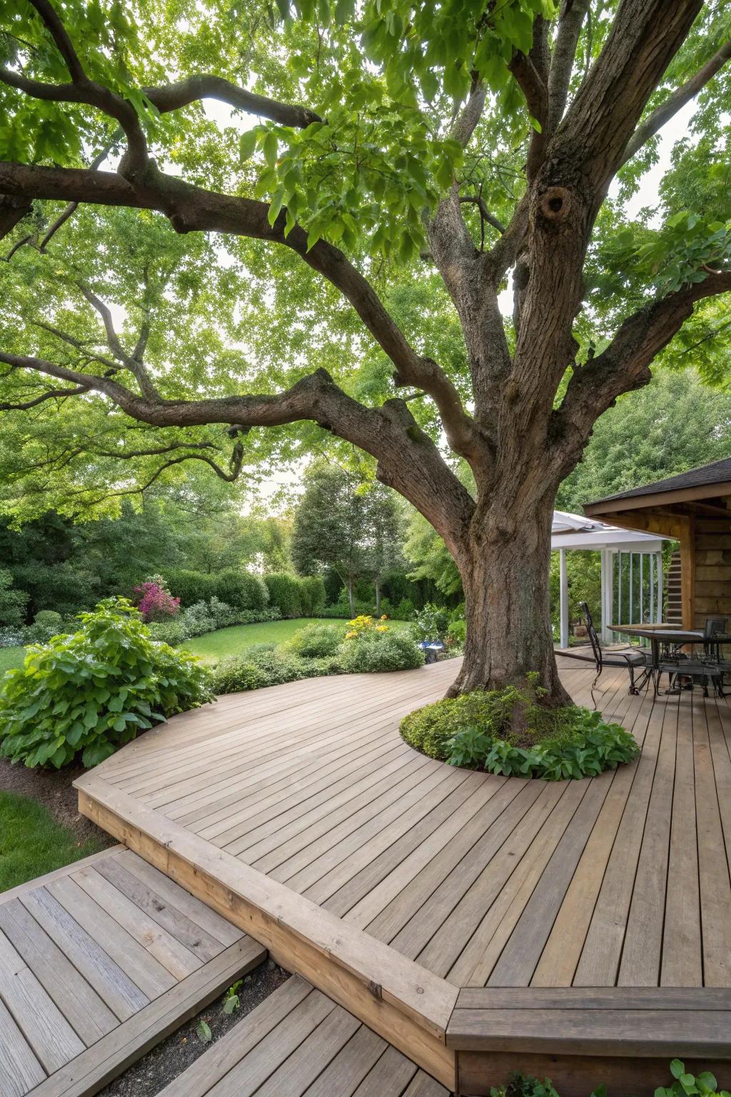 A tree transforms into a central feature, appending natural beauty to this deck.