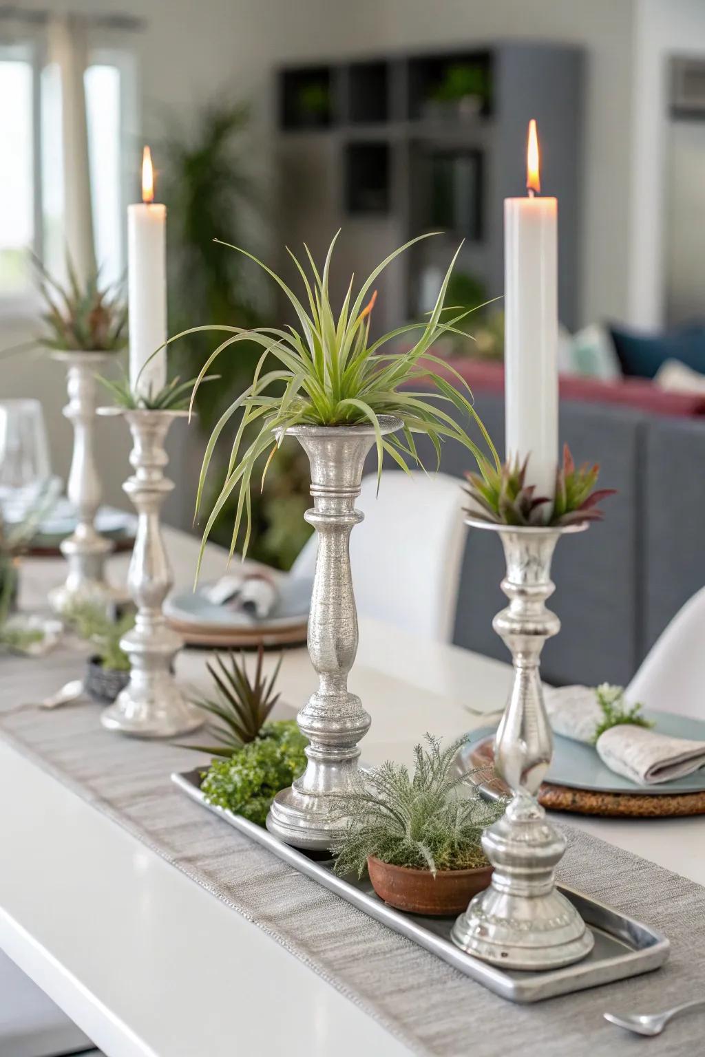 Air plants on candlestick bases creating a chic accent.