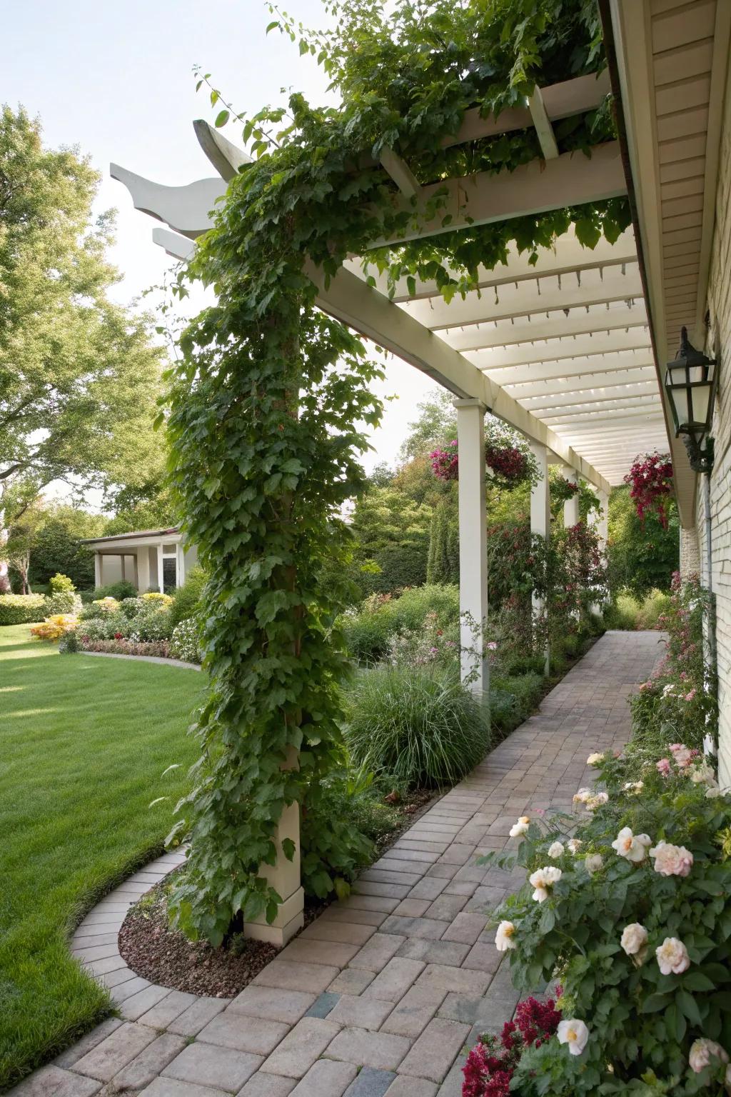A pergola introduces shade and structural interest.