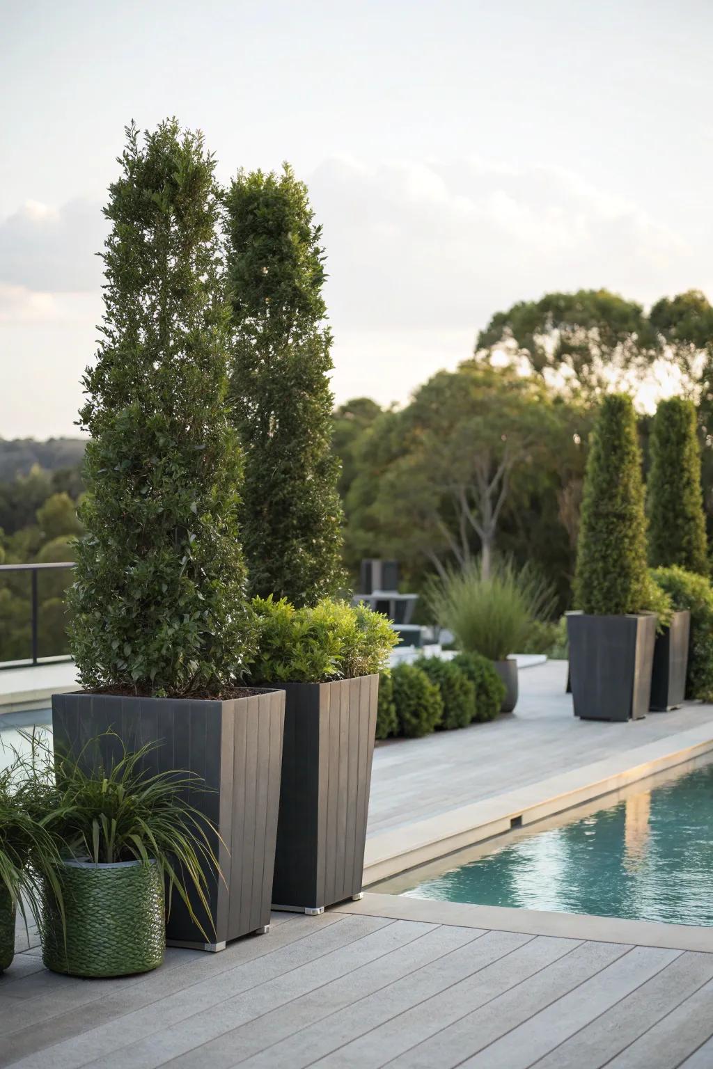 High-rise planters provide privacy while adding to the greenery of the pool deck.