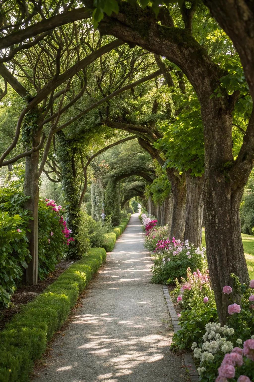 Direct guests along a tree-bordered garden pathway.
