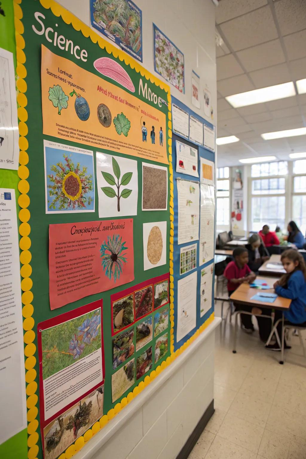 A bulletin board that sparks curiosity about science and nature