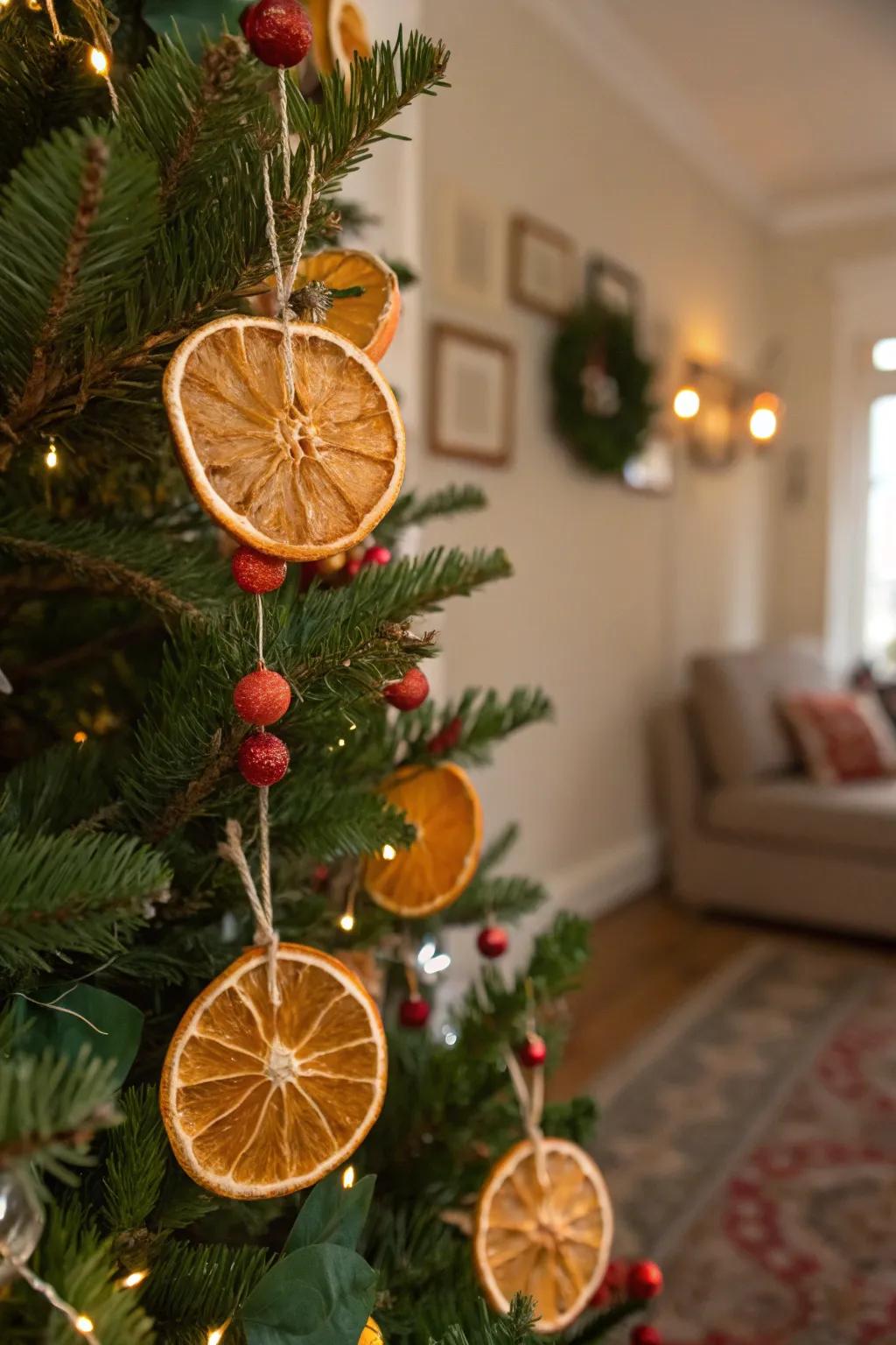 Desiccated citrus segments proffer a colorful and fragrant holiday nuance.