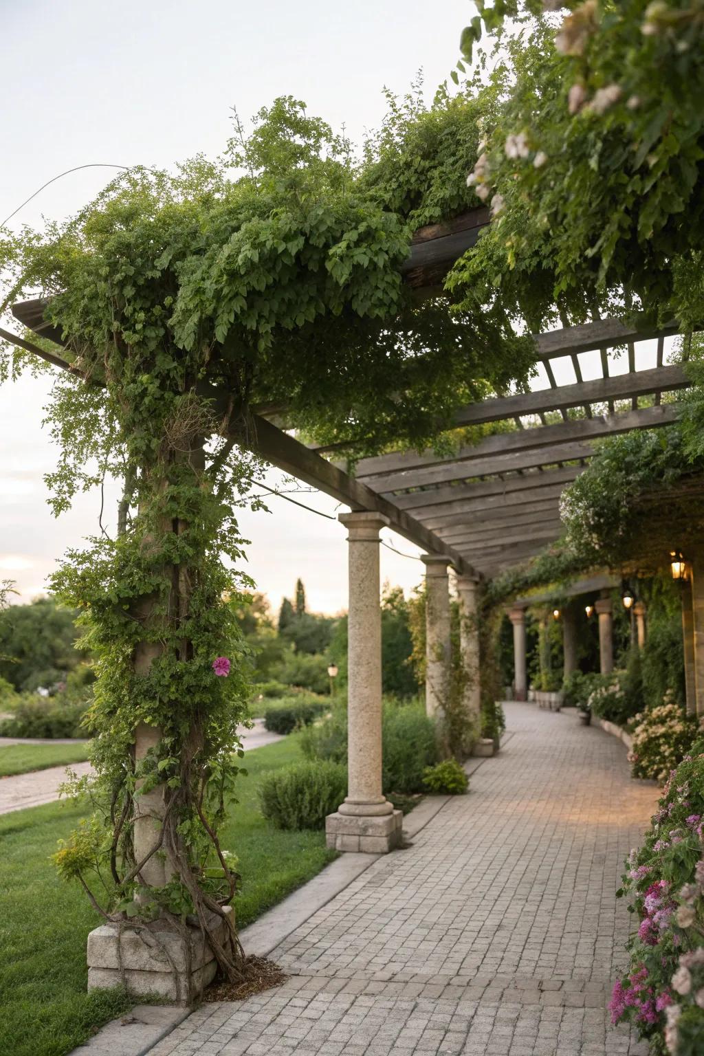 A covered walkway providing shade and adding charm to the garden.