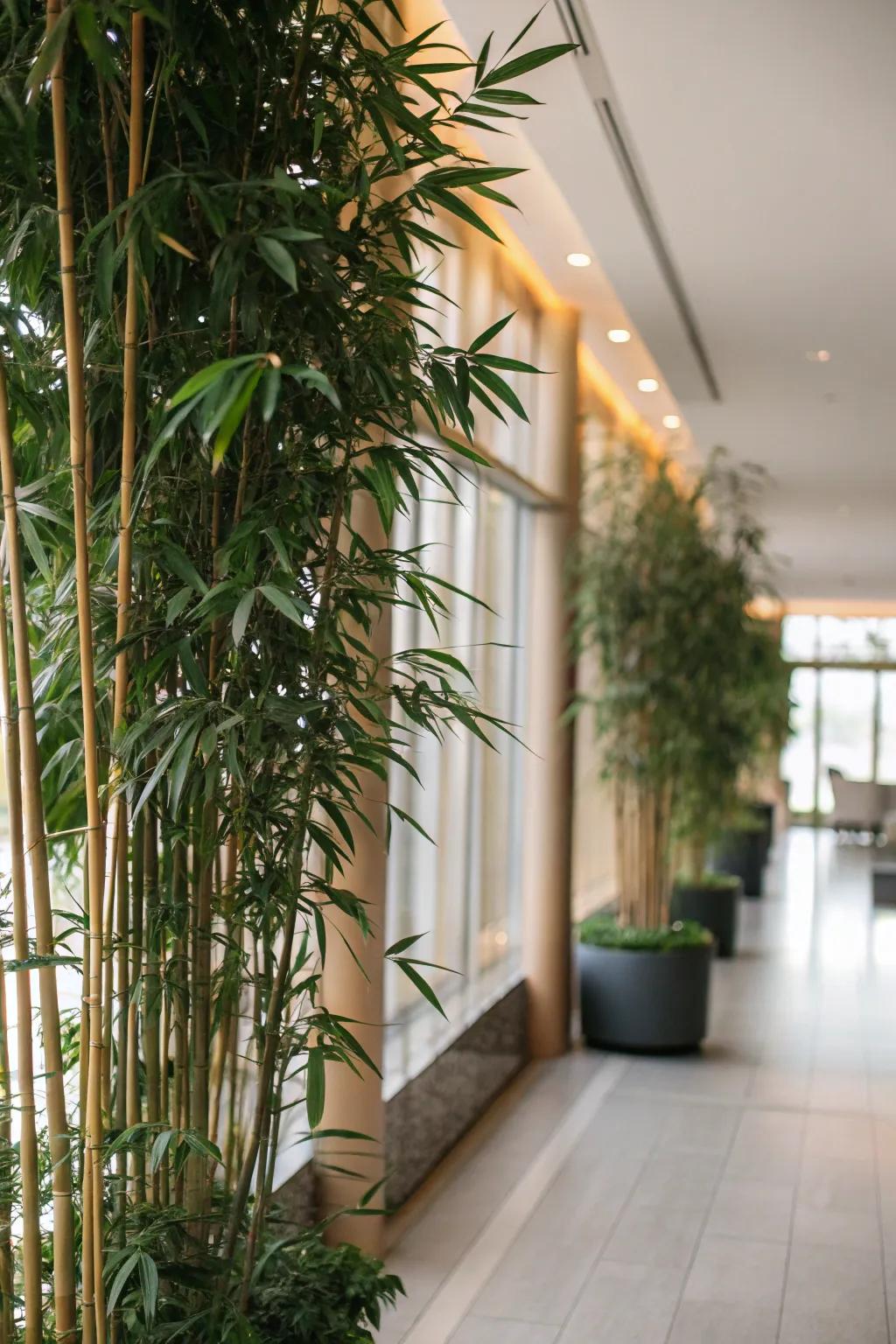Delineate your location with an authentic botanical partition.