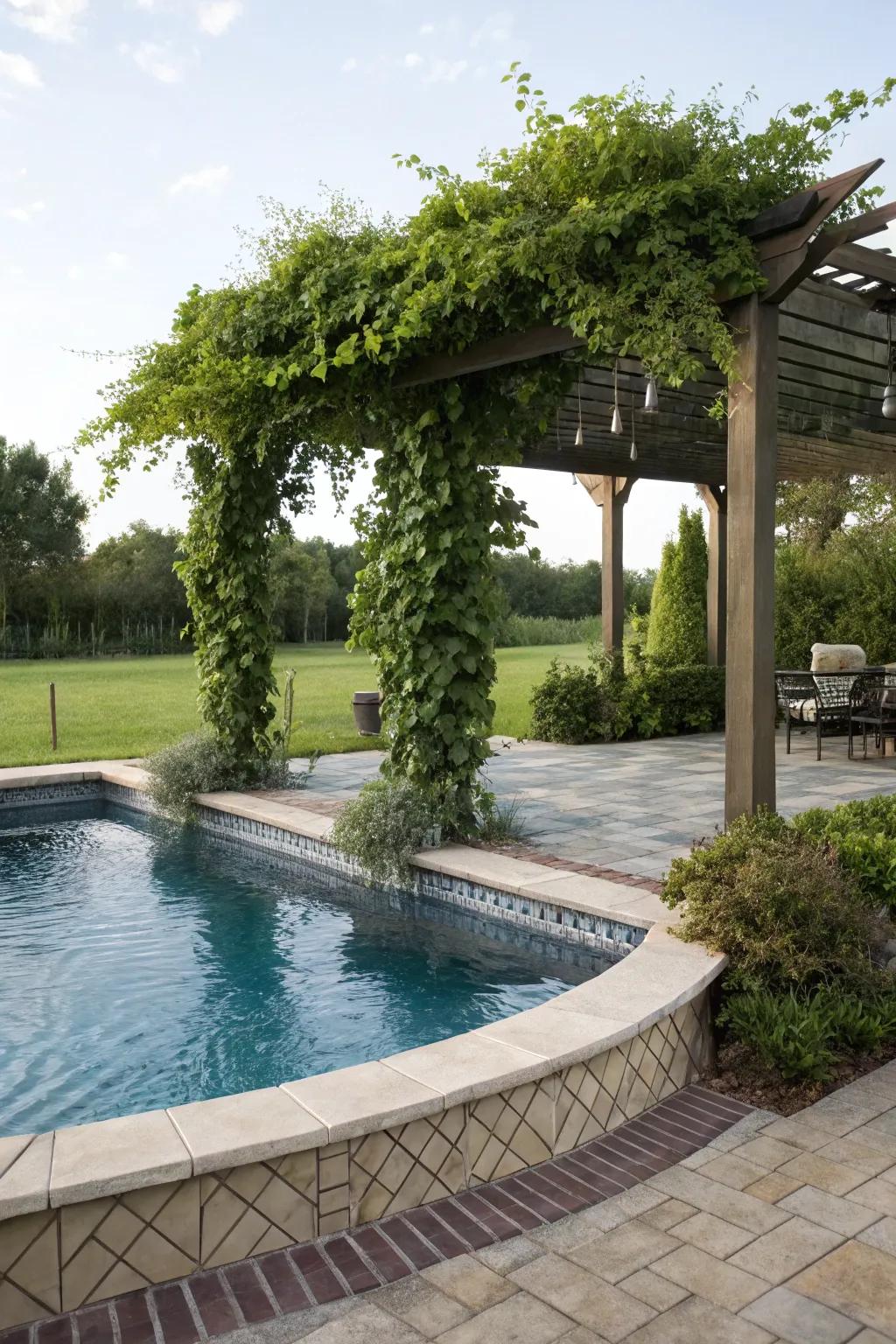 A partially submerged pool enhanced by a charming canopy for shade and privacy.