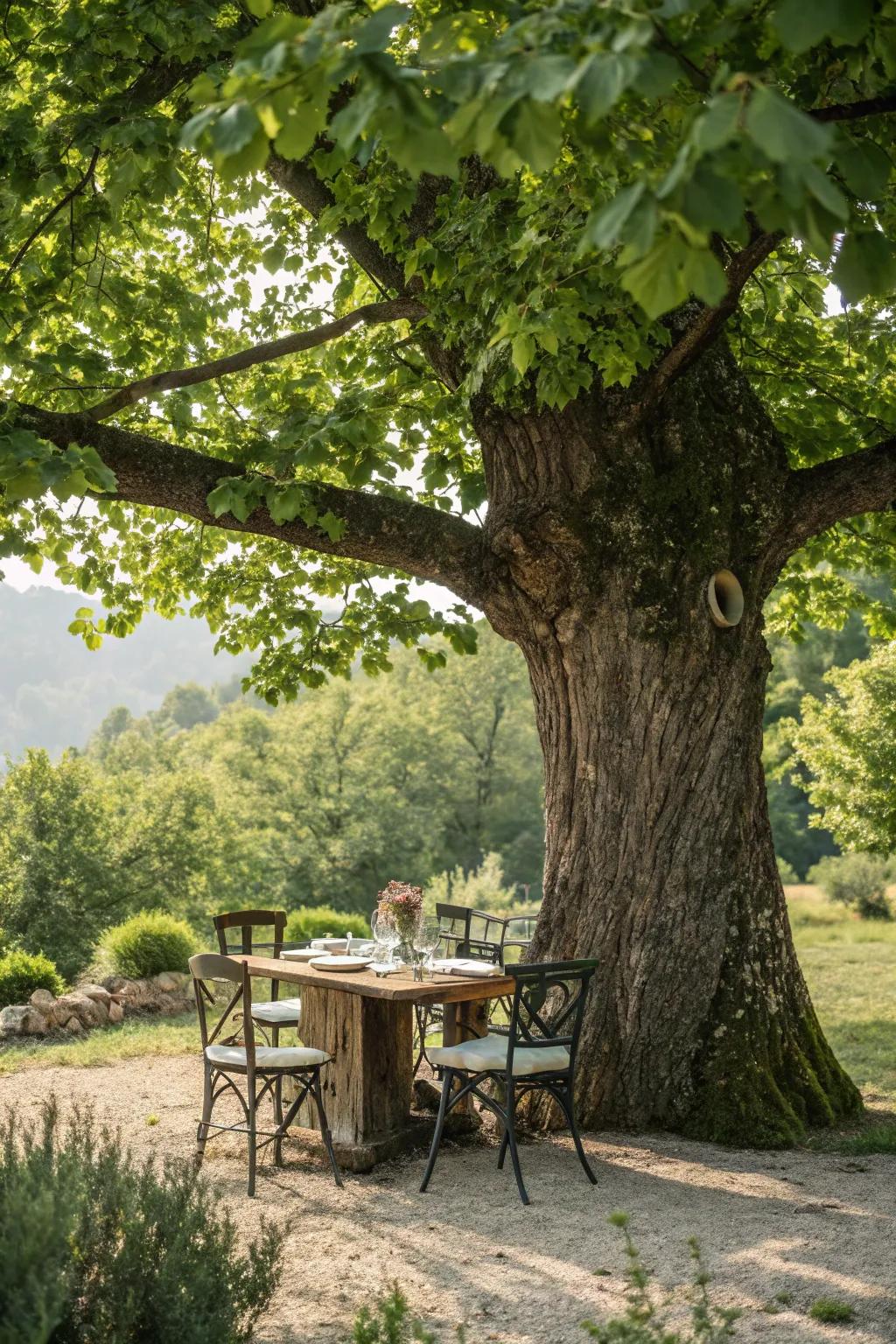 A tree-stump table coalesces flawlessly with the outdoor ambiance.
