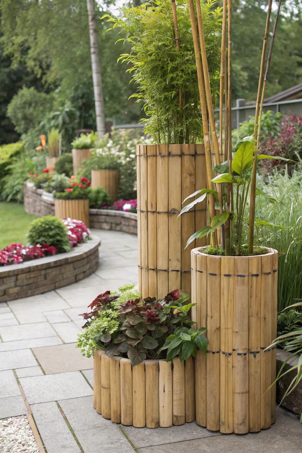 Bamboo planters providing versatile plant display options.