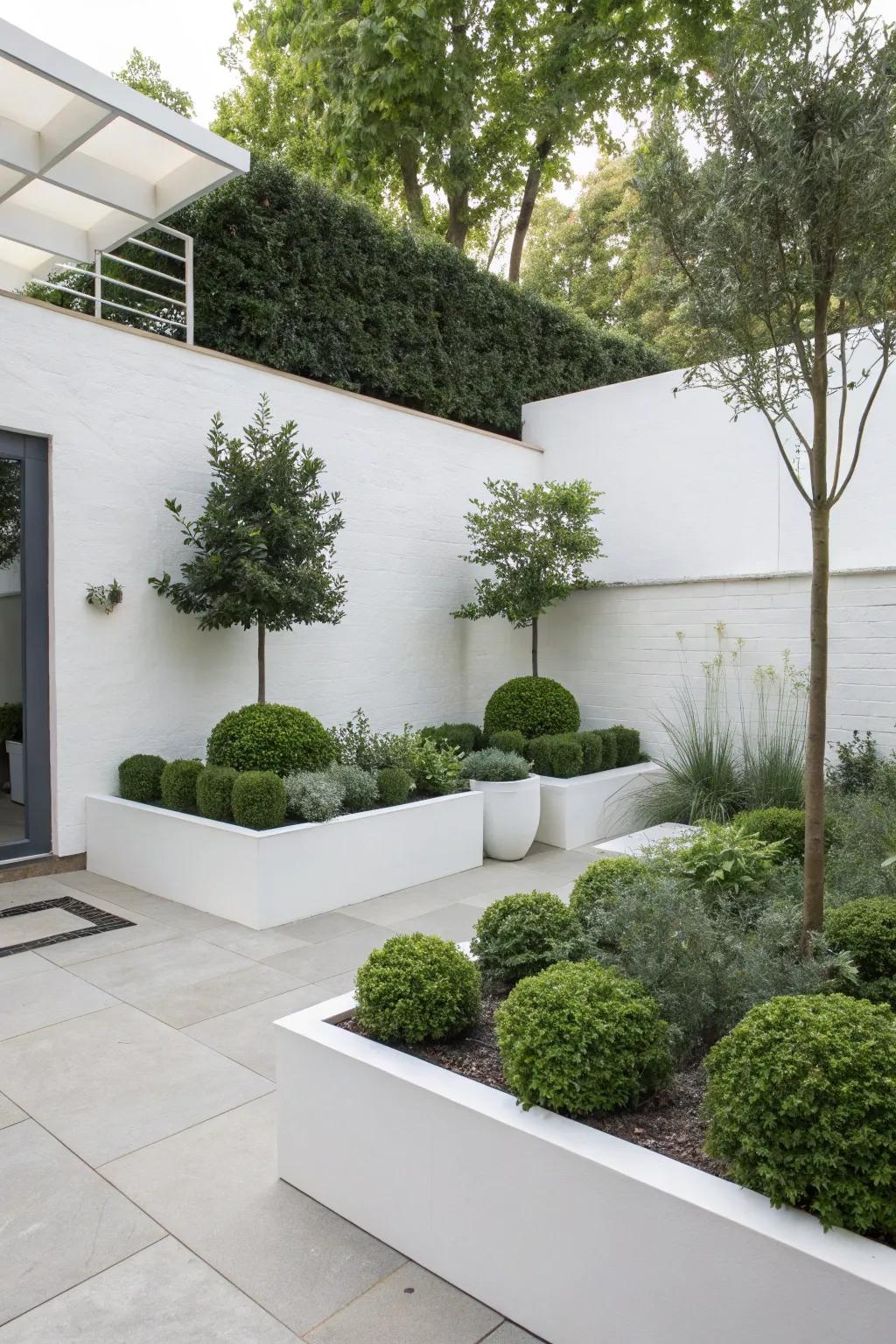 A minimalist garden corner instills contemporary elegance and simplicity.