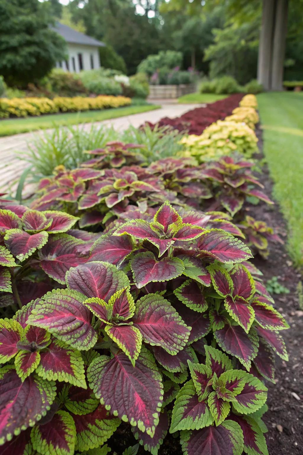 Bugleweed appending texture and hue to a garden zone.