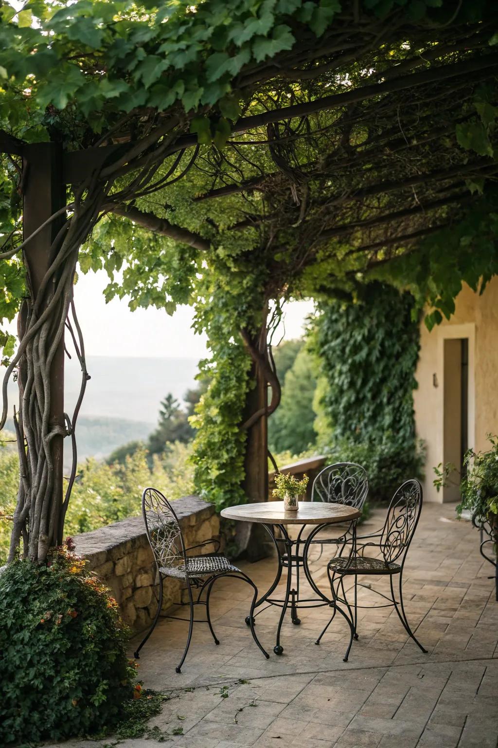 Wrought iron furniture nestled in climbing vines crafts a secluded garden feel.