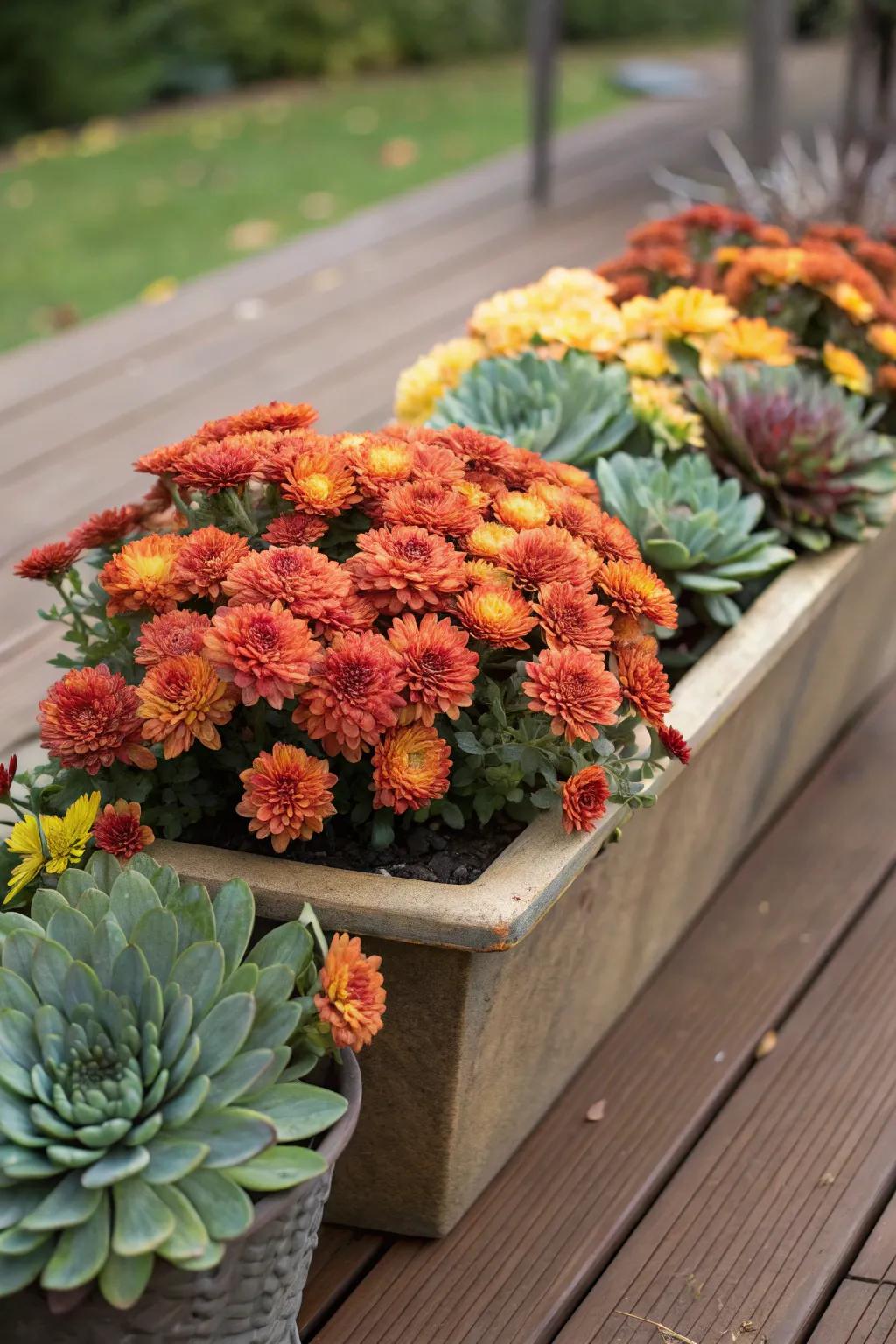 Modern fusion featuring blooms and succulents