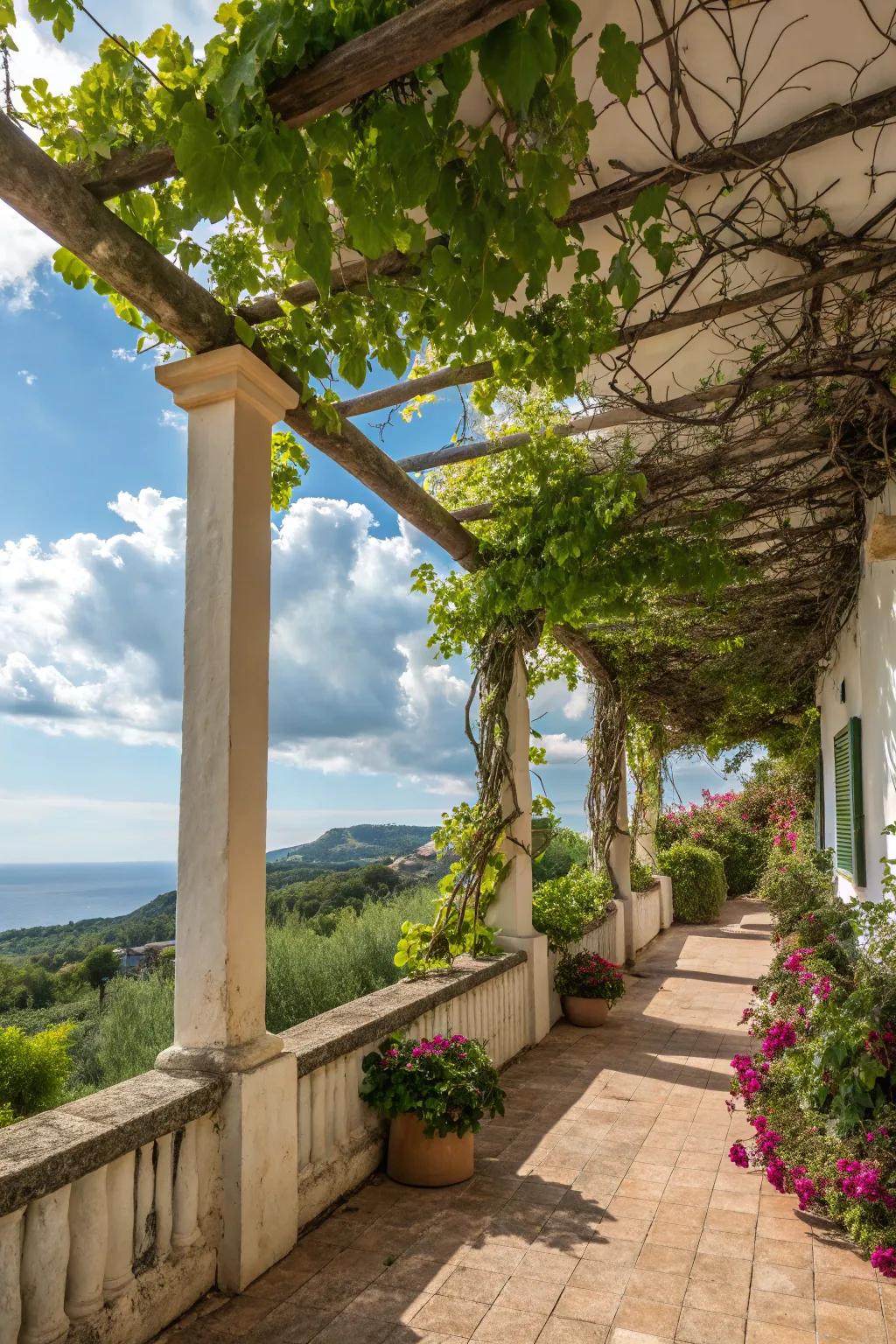 Vined trellises offering natural shade and vibrant splendor.