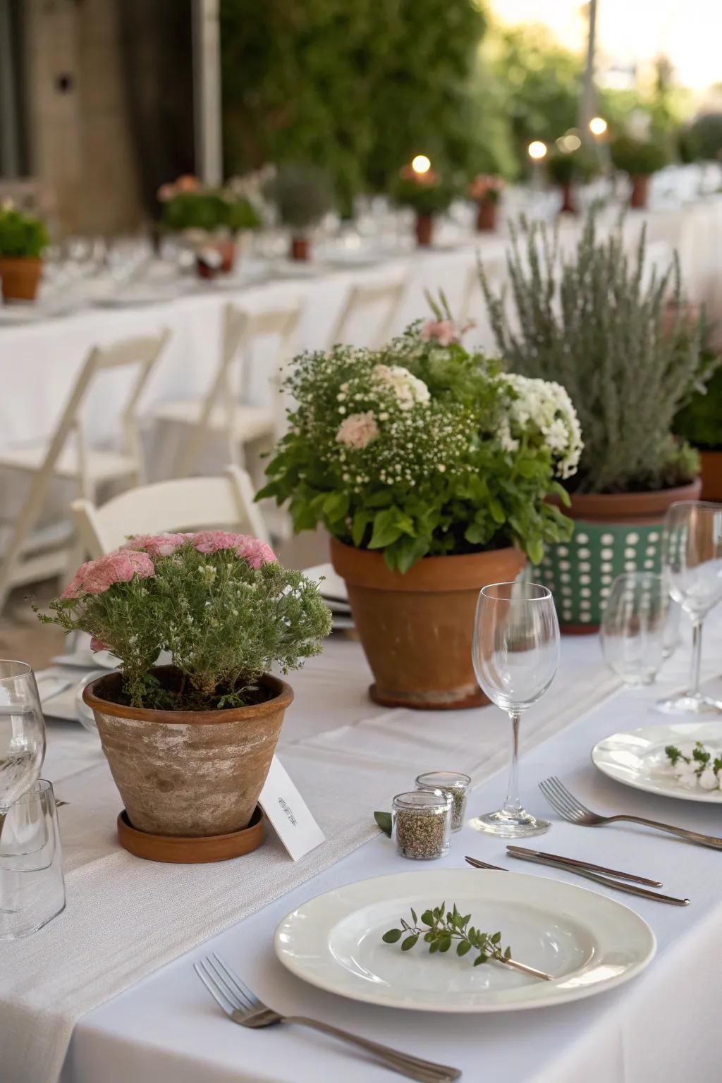 Eco-conscious potted plants utilized as matrimonial centerpieces