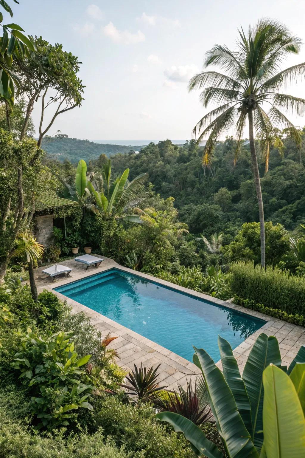 Transform your pool area into a tropical paradise.