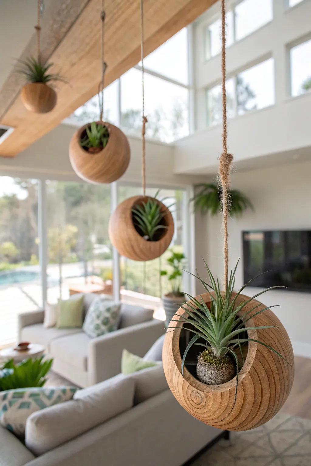 Wooden orbs supplement dynamic movement to air plant displays.