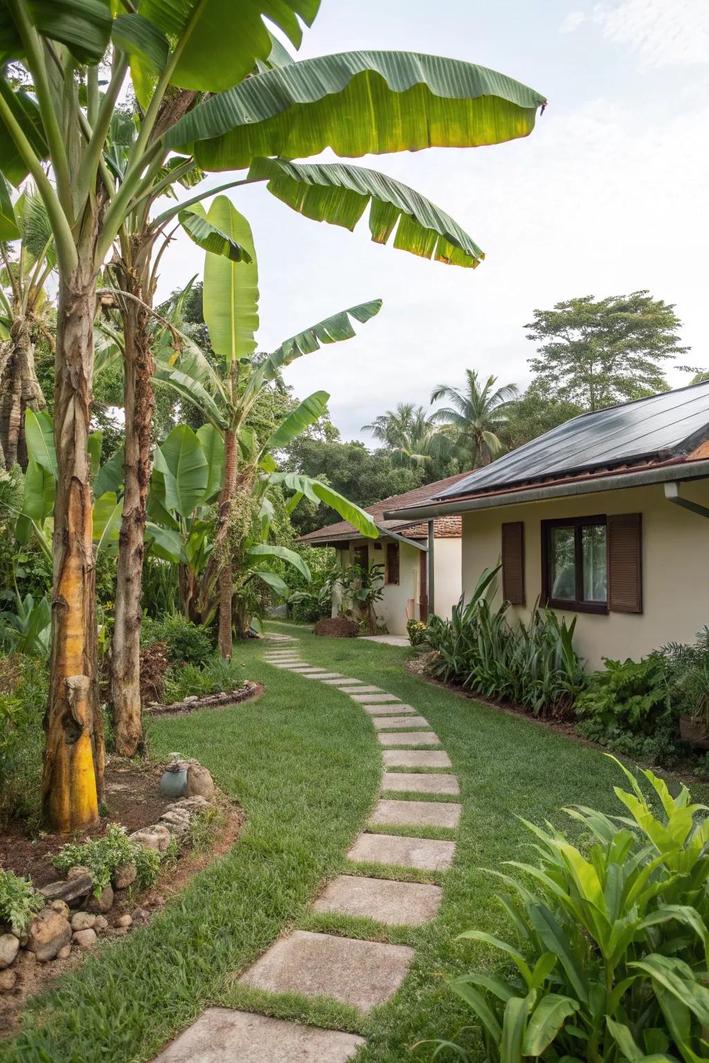 Enjoy inherent cooling utilizing eco-conscious shade from banana trees.