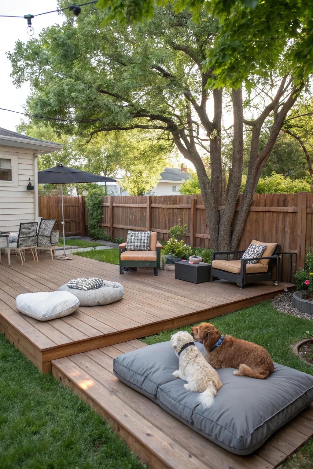 Savor quality time with your dog in a well-blueprinted shared environment.