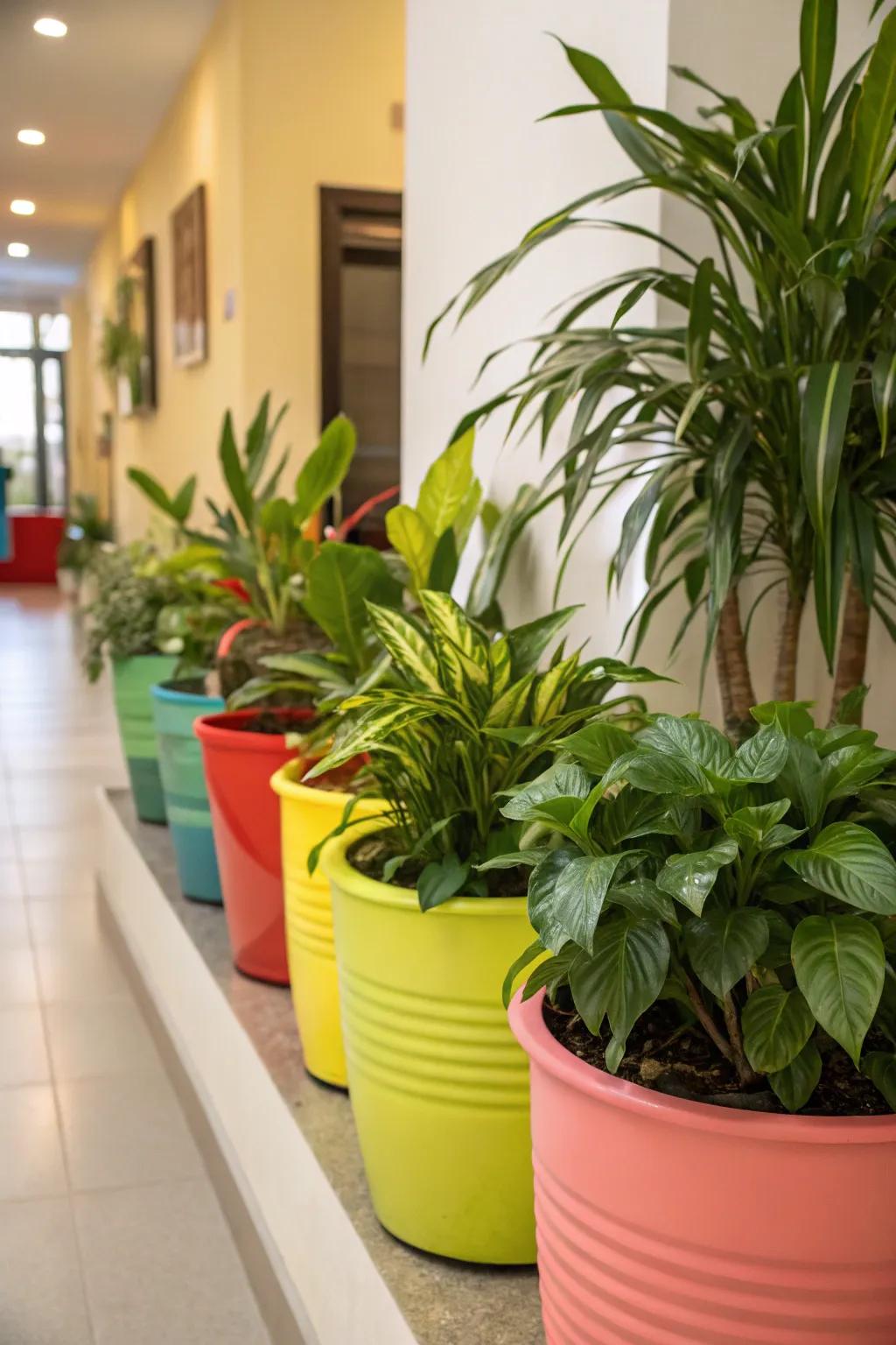 Vibrant containers infuse dynamism into any corner.