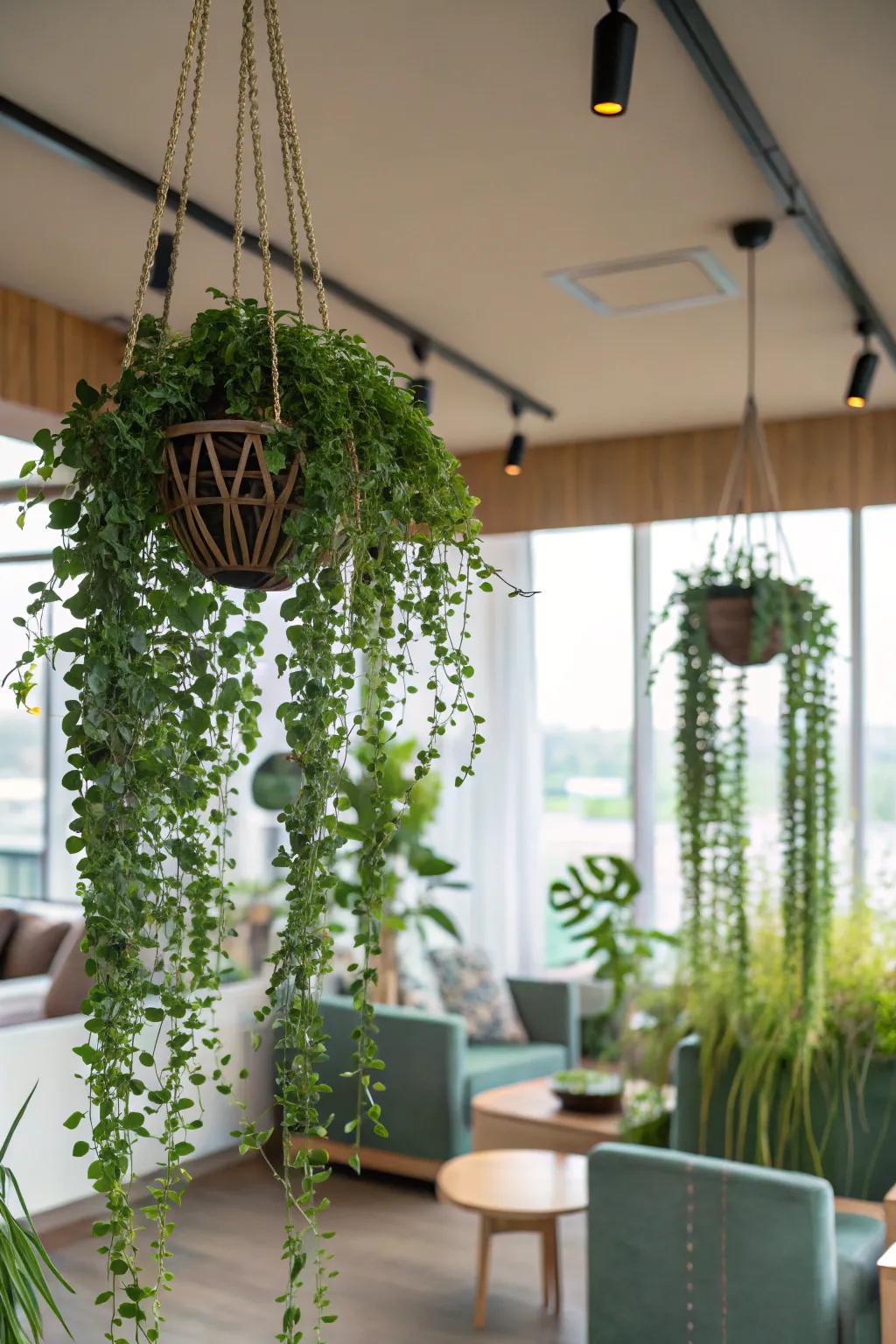 A locale exhibiting lush suspended flora injecting vibrancy and existence.