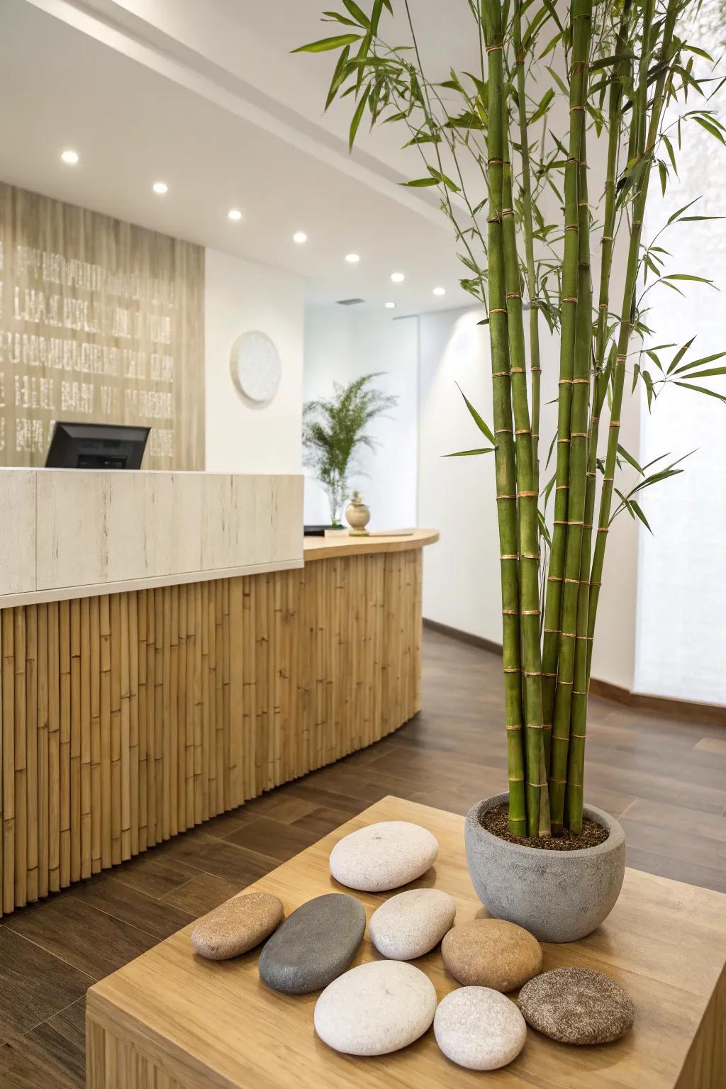 A peaceful and Zen-inspired welcome area.