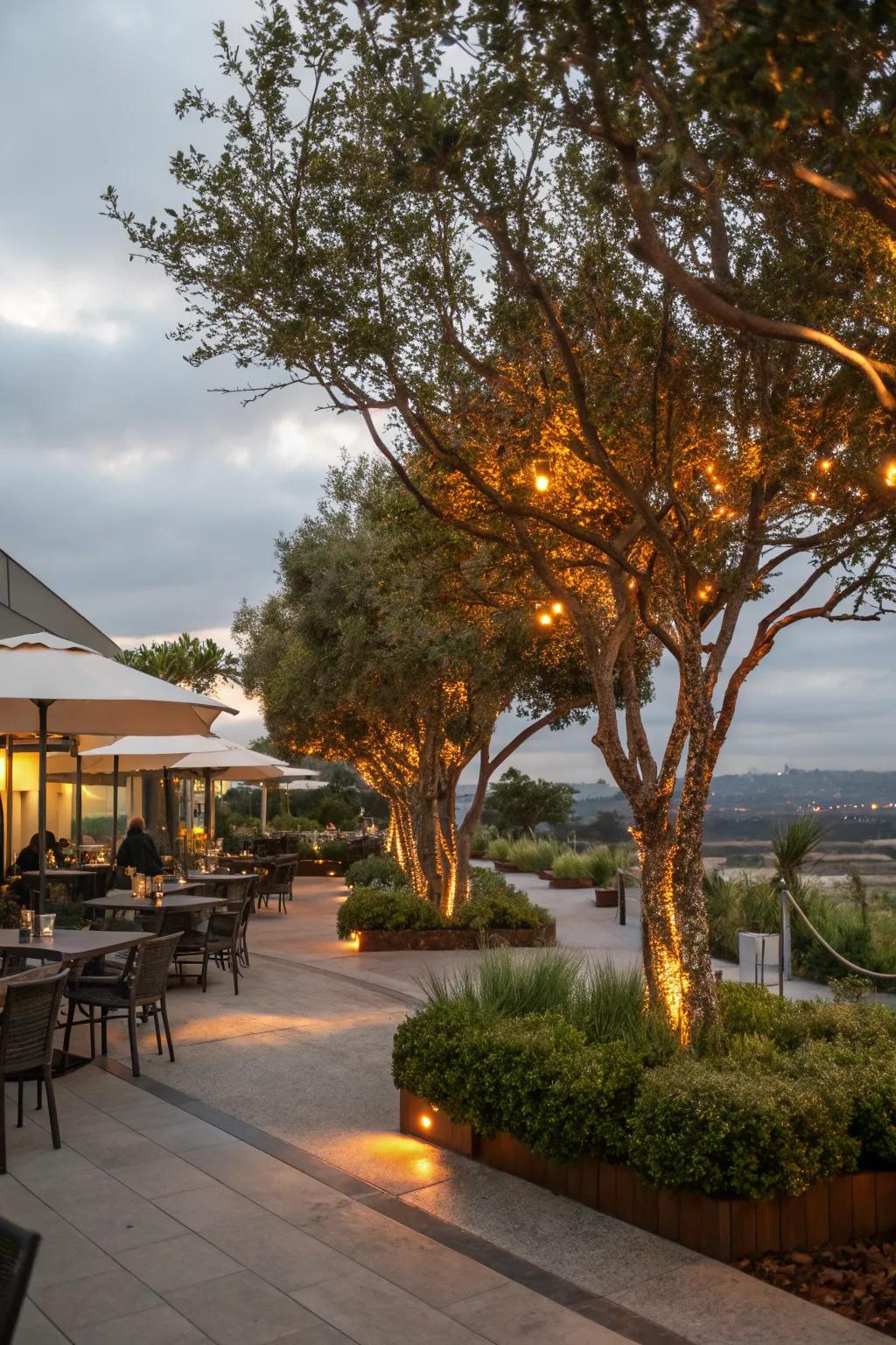 Tree illumination contributes depth and drama to outdoor landscapes.