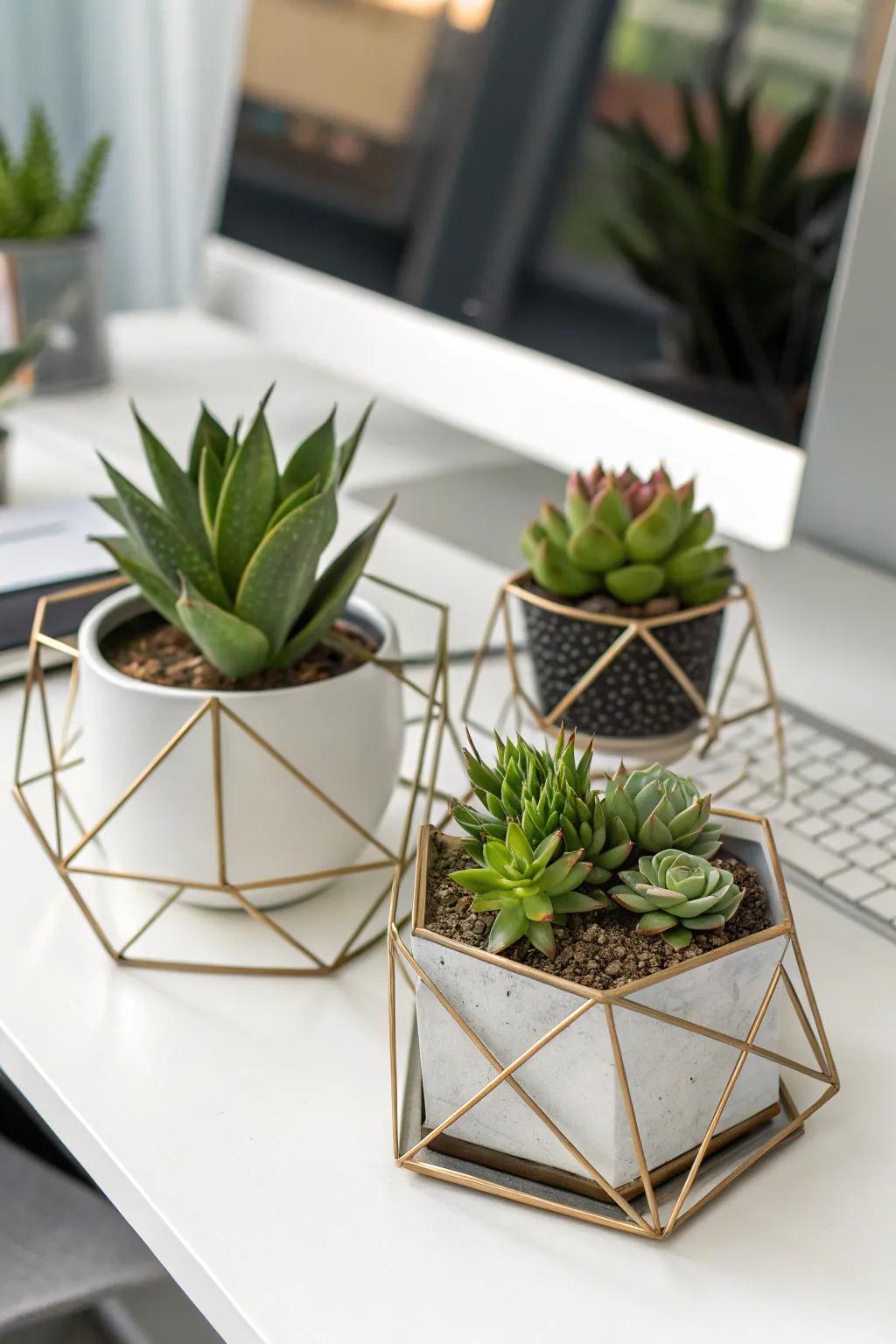 Geometric metallic containers present a sleek, contemporary aesthetic for succulents.