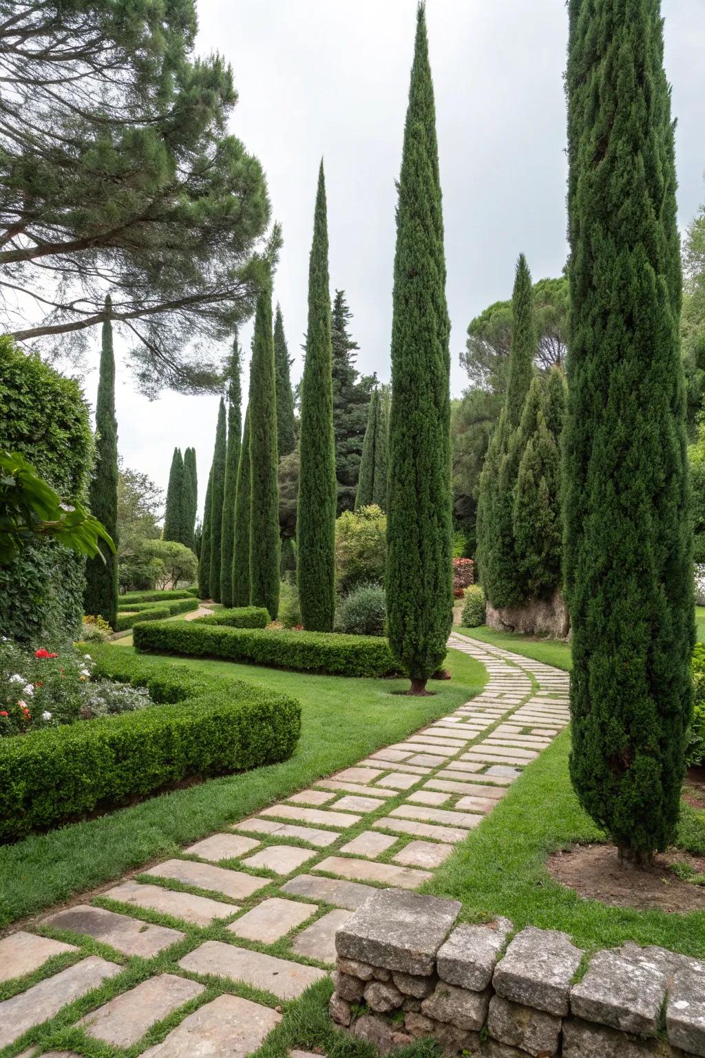 Attain balance in your garden with Leyland cypress and solidscape elements.