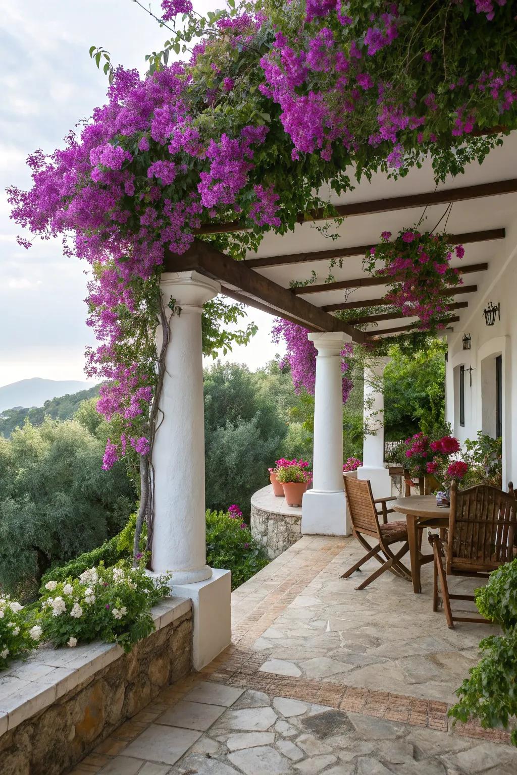 Bougainvillea crafting a vibrant, blooming canopy over the porch.