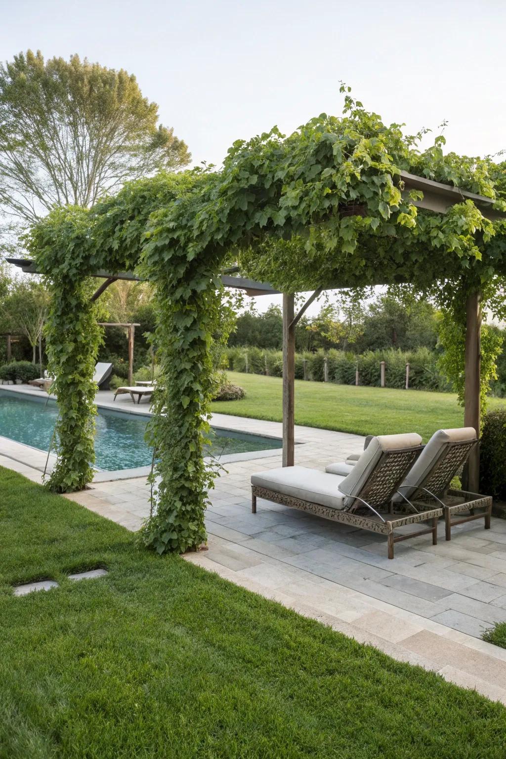 Design a peaceful hideaway with a flora-covered pergola.
