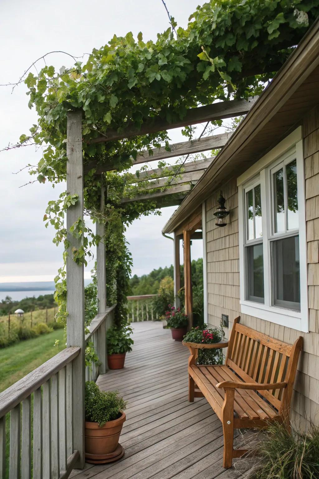 A pergola creates a captivating interplay of light and shadow.