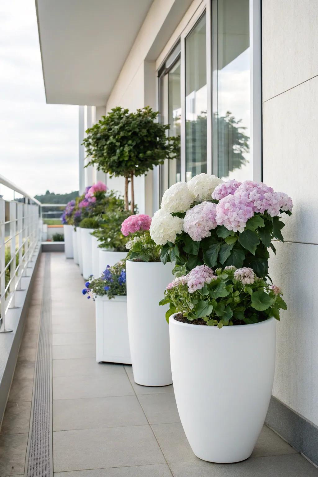 Elegant white pots showcasing hydrangeas on a minimalist balcony.