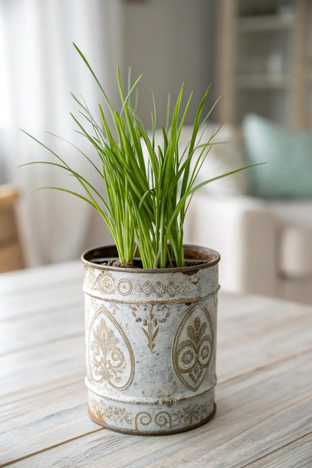 Breathe renewed vitality into classic charm with repurposed metallic vessel planters!
