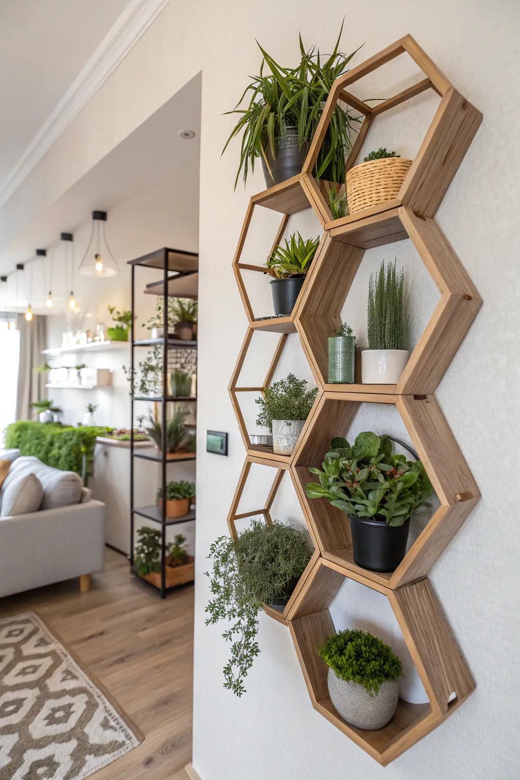 Geometric hexagonal shelves creating a cutting-edge plant display.