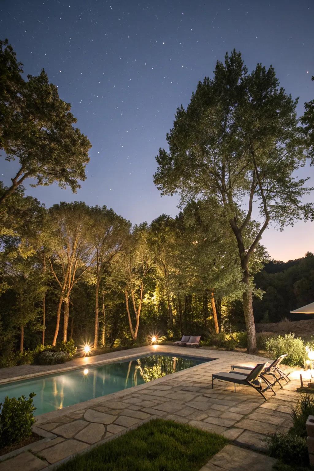 Create a serene ambiance with uplighting on surrounding trees.